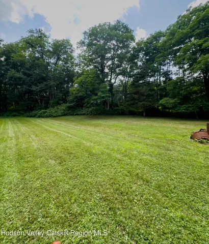 a view of a green yard