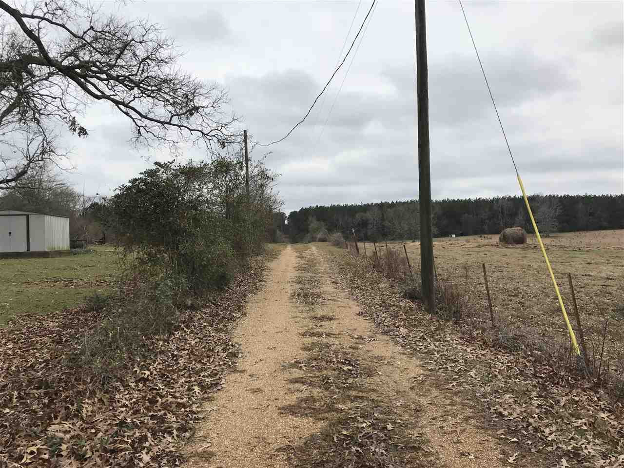 3930 A Garnet Trail Ruth, MS 39662 - Photo 3 of 6 Photo 3