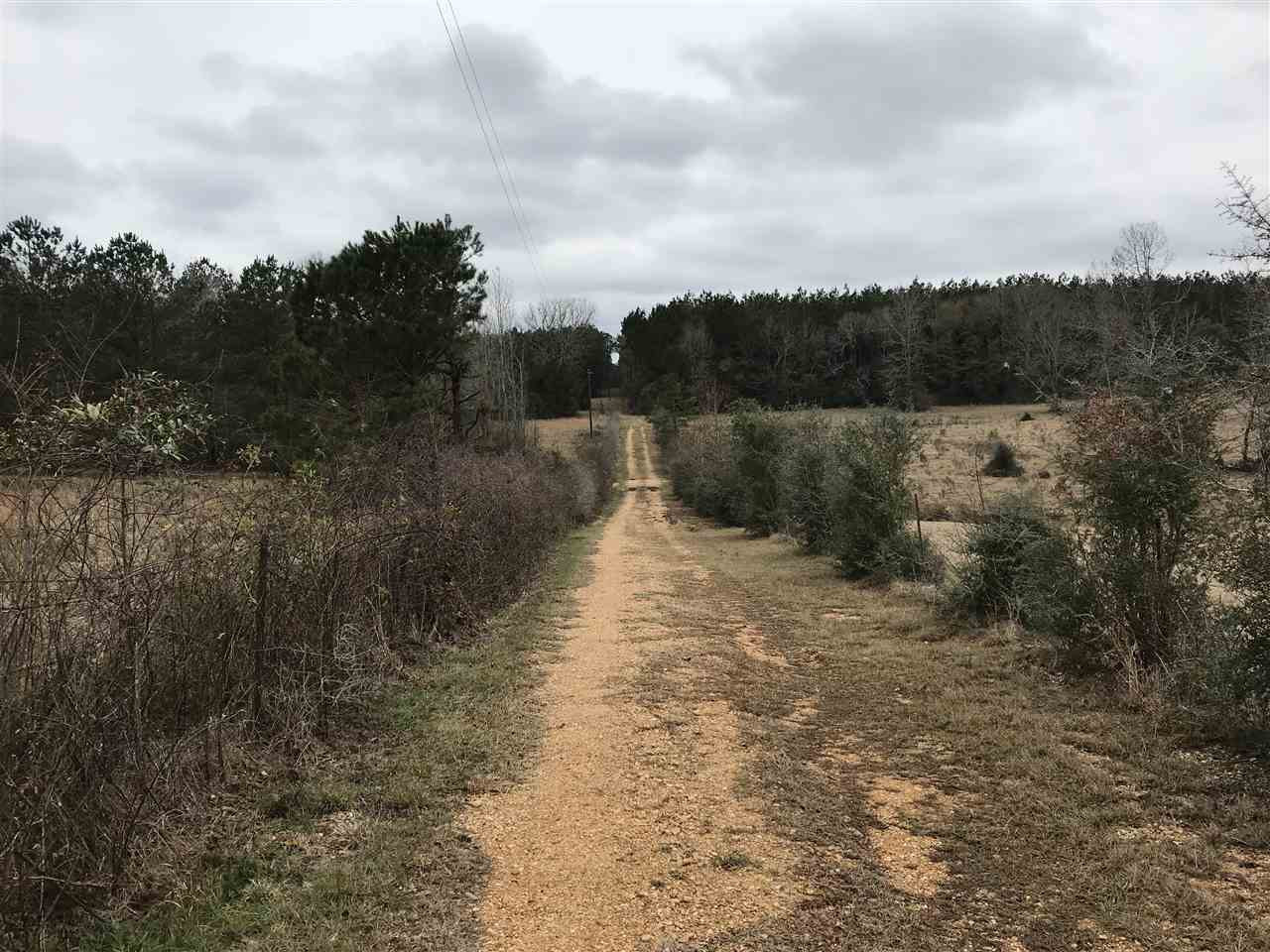3930 A Garnet Trail Ruth, MS 39662 - Photo 4 of 6 Photo 4