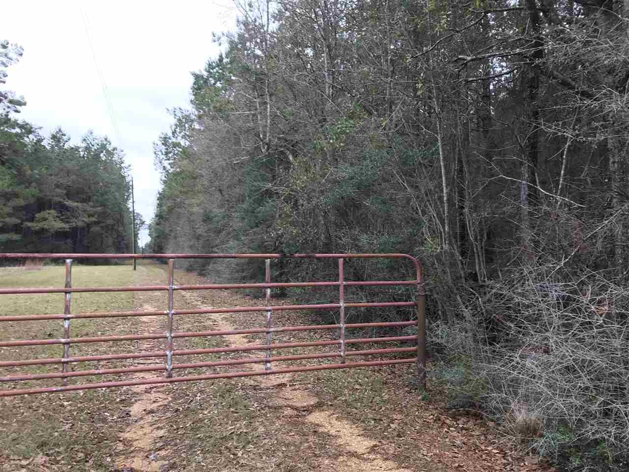3930 A Garnet Trail Ruth, MS 39662 - Photo 5 of 6 Photo 5