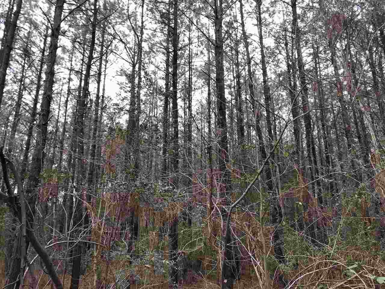 3930 A Garnet Trail Ruth, MS 39662 - Photo 6 of 6 Photo 6