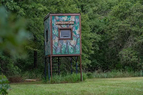 a view of a back yard