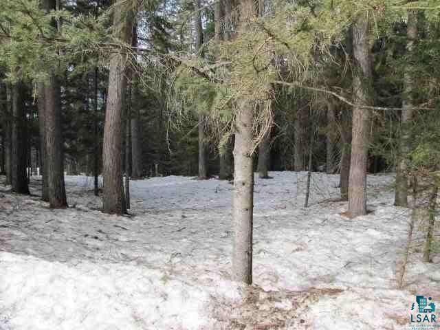 1334 Trygg Road Ely, MN 55731 - Photo 12 of 14