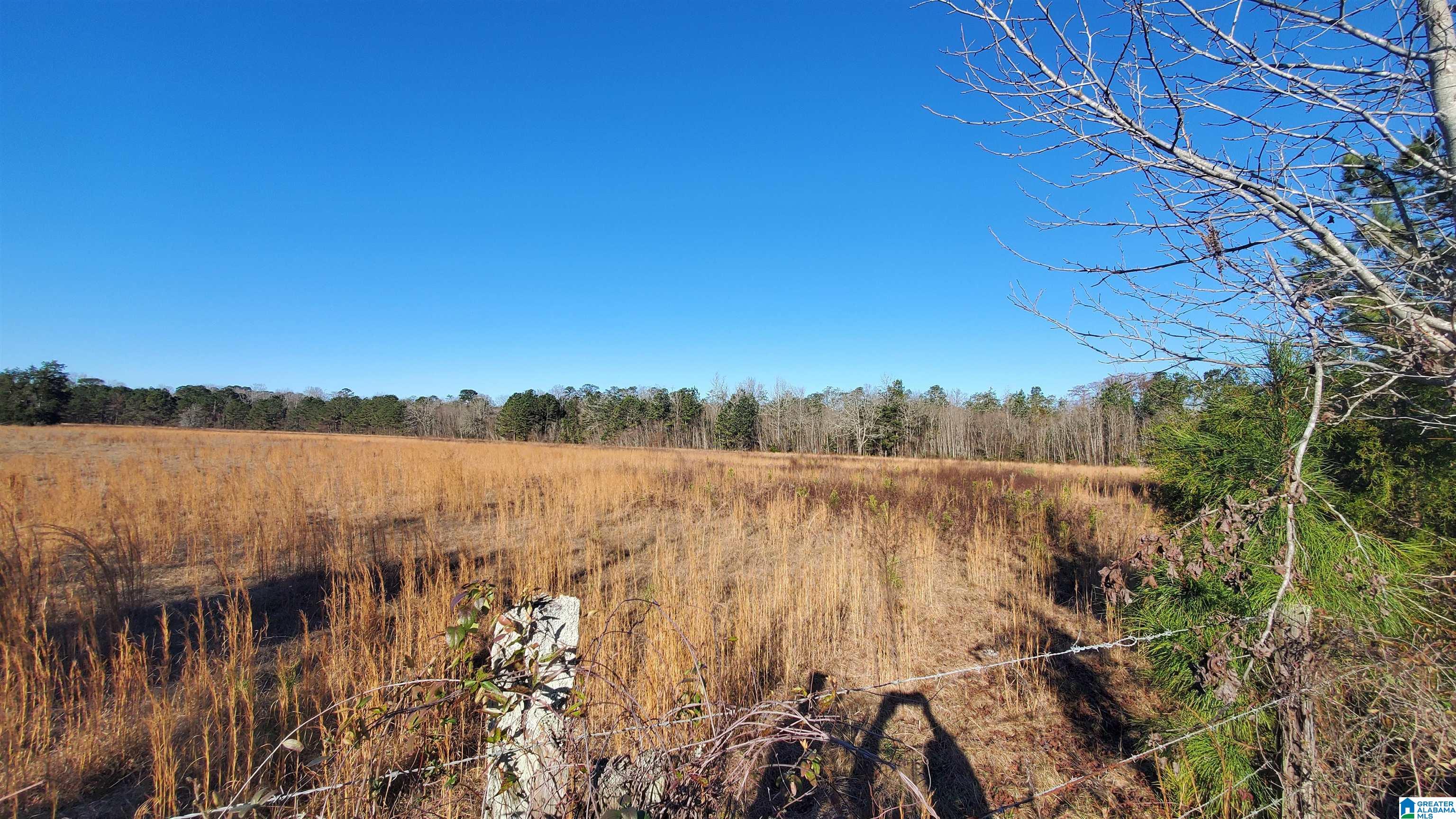 Sandtown Road, Unit 1 Millbrook, AL 36054 - Photo 4 of 11