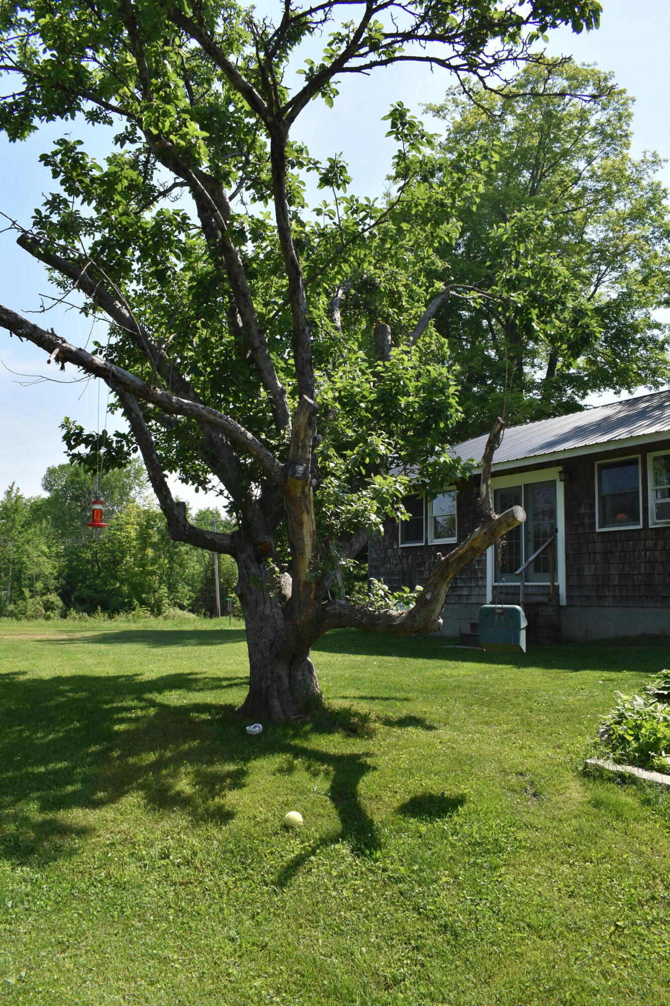 470 Dexter Road St. Albans, ME 04971 - Photo 4 of 47 30