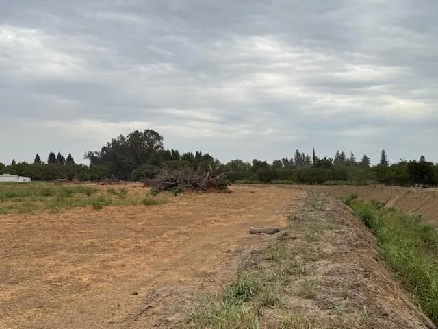 a view of a yard with an outdoor space