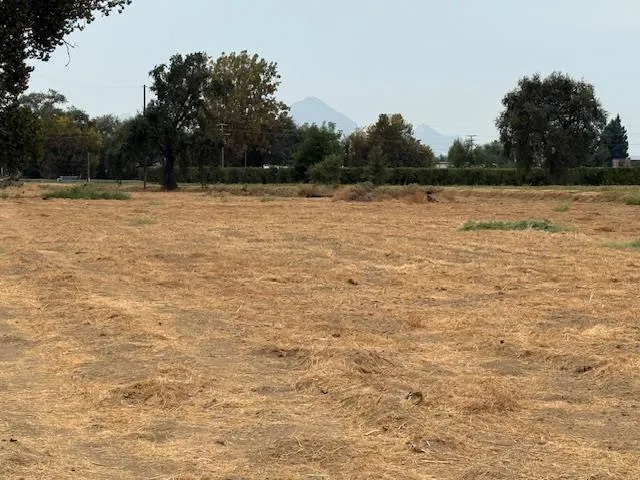 a view of a water with a yard