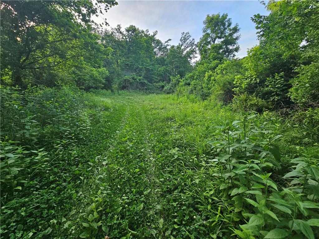 0 Fallen Timber Road Avella, PA 15312 - Photo 5 of 18