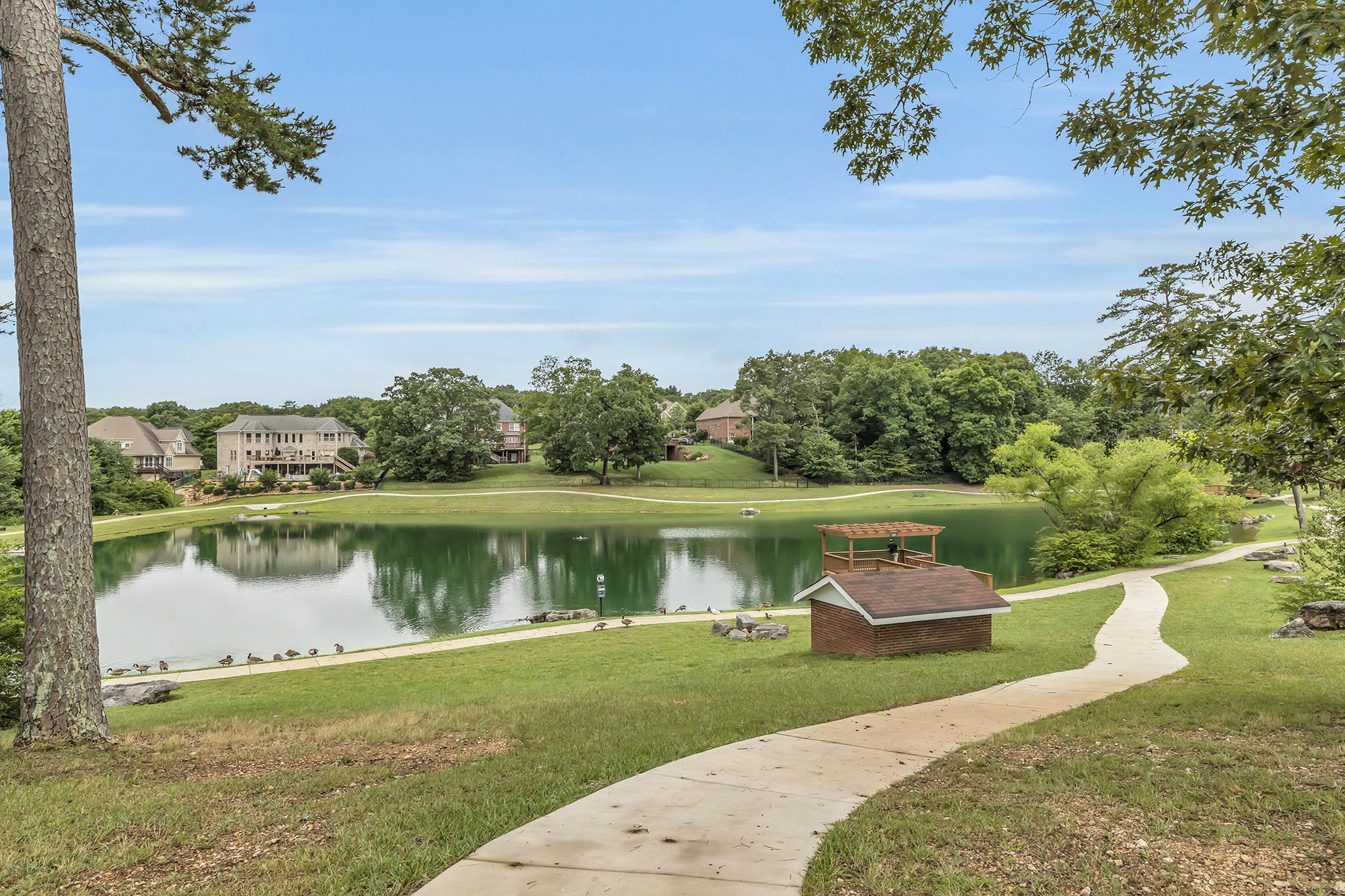 3219 Ripplin Run Lane Ooltewah, TN 37363 - Photo 45 of 54 Community Pond