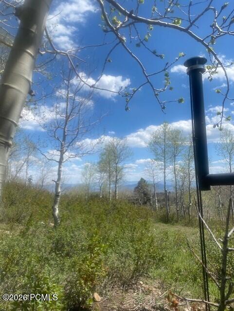 14020 West Aspen Rdg Circle Coalville, UT 84017 - Photo 8 of 23