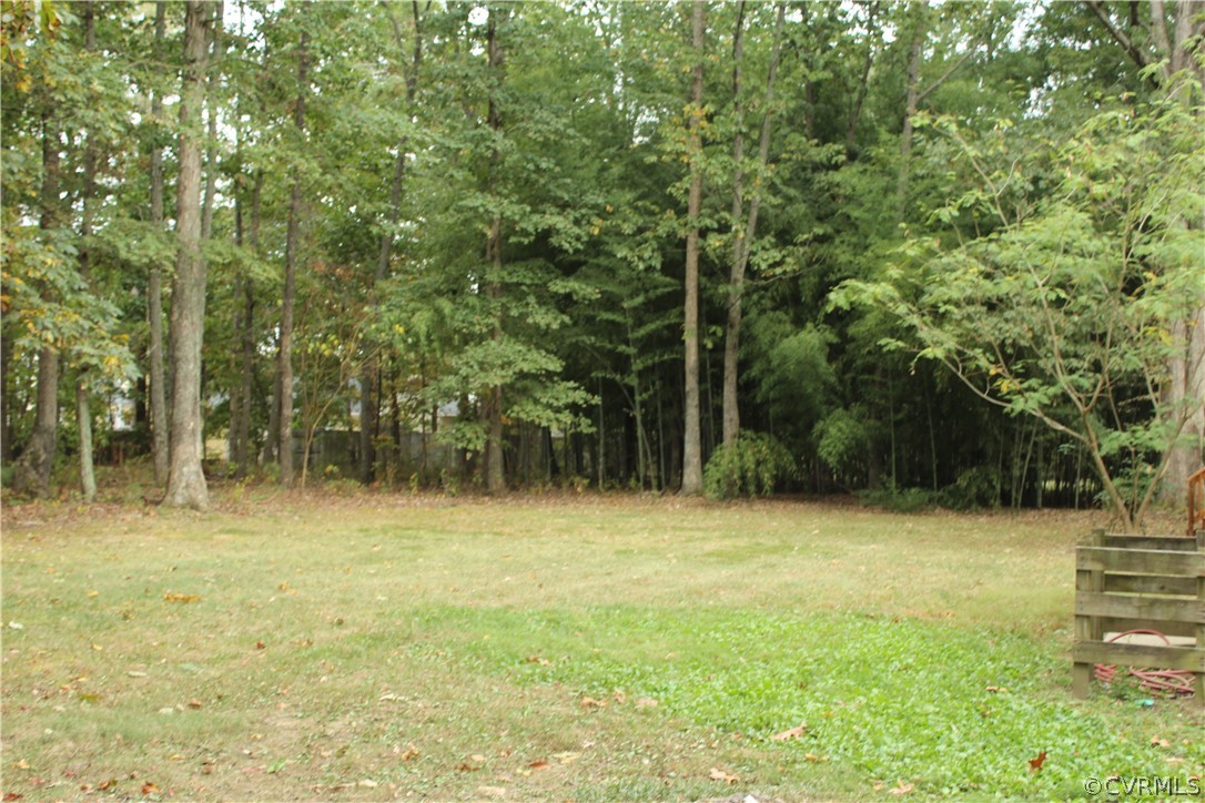 13621 Thorngate Road Midlothian, VA 23113 - Photo 12 of 46 a view of backyard with green space