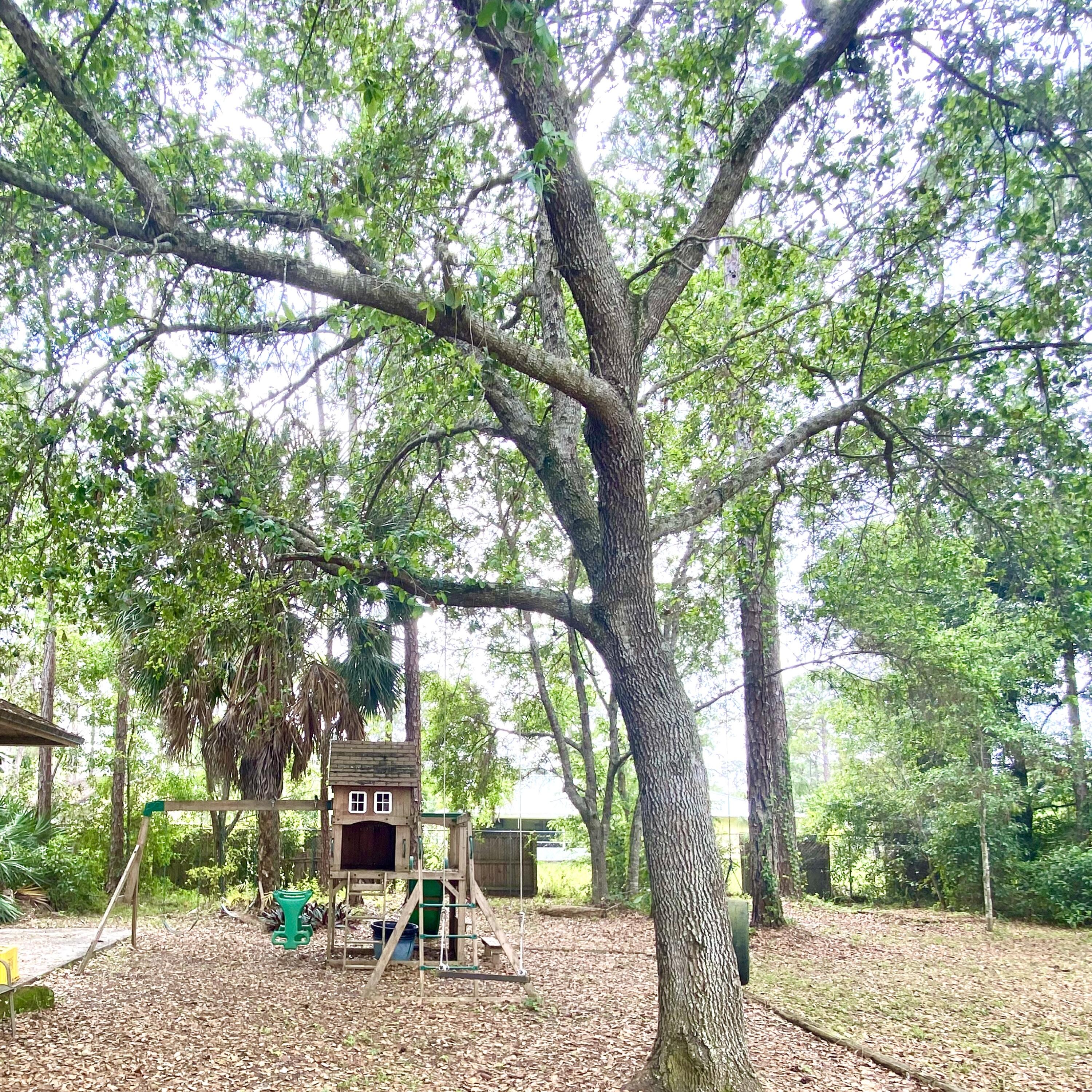 13130 85th Road North The Acreage, FL 33412 - Photo 31 of 34 773D0682-667F-412A-B70F-7910780876B9
