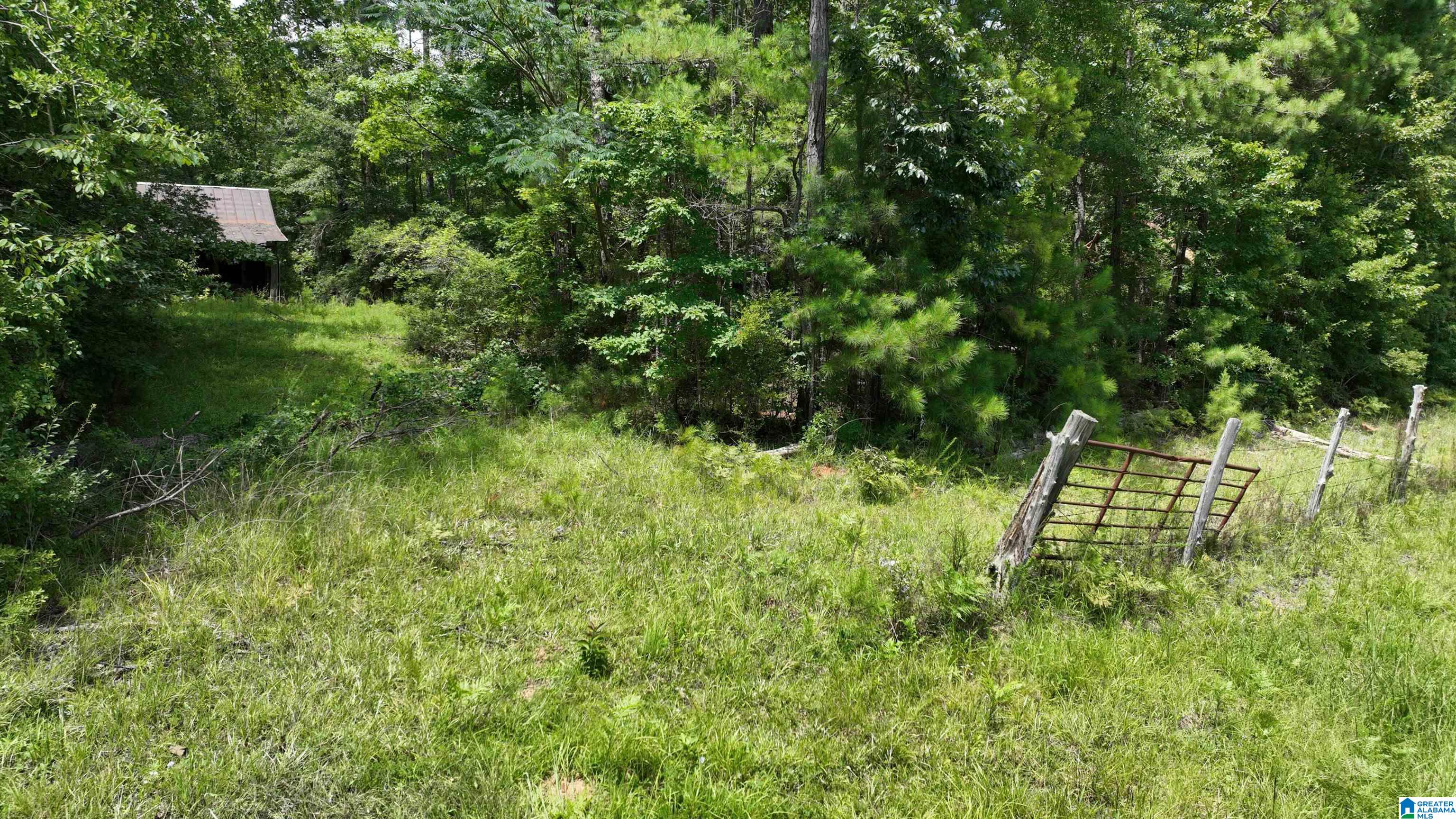 0 South Shackleville Road Georgiana, AL 36033 - Photo 9 of 22