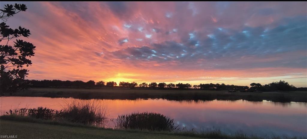 5796 Declaration Court Ave Maria, FL 34142 - Photo 34 of 49