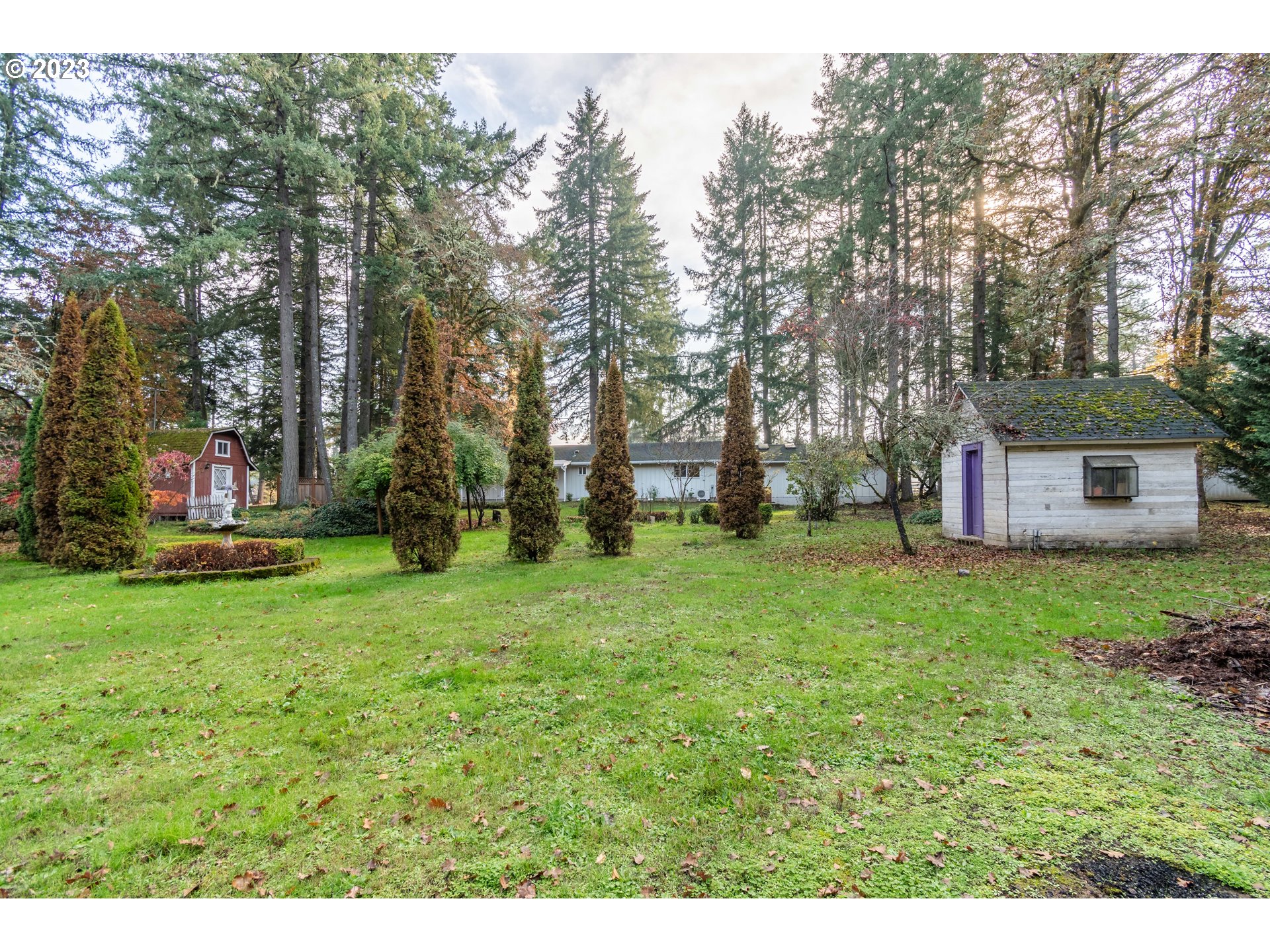25455 Lamb Road Elmira, OR 97437 - Photo 31 of 47 Backyard