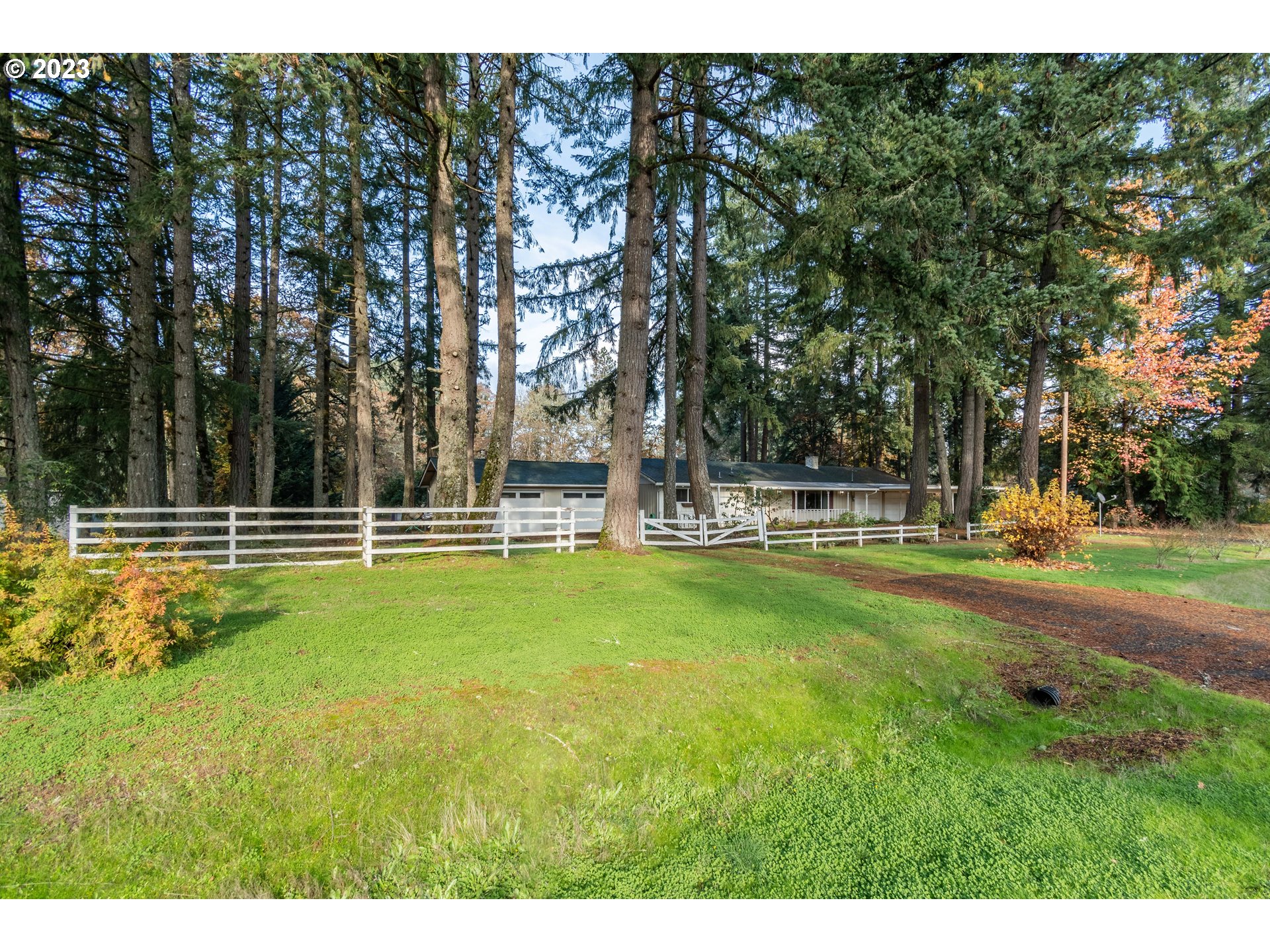 25455 Lamb Road Elmira, OR 97437 - Photo 38 of 47 Front Yard