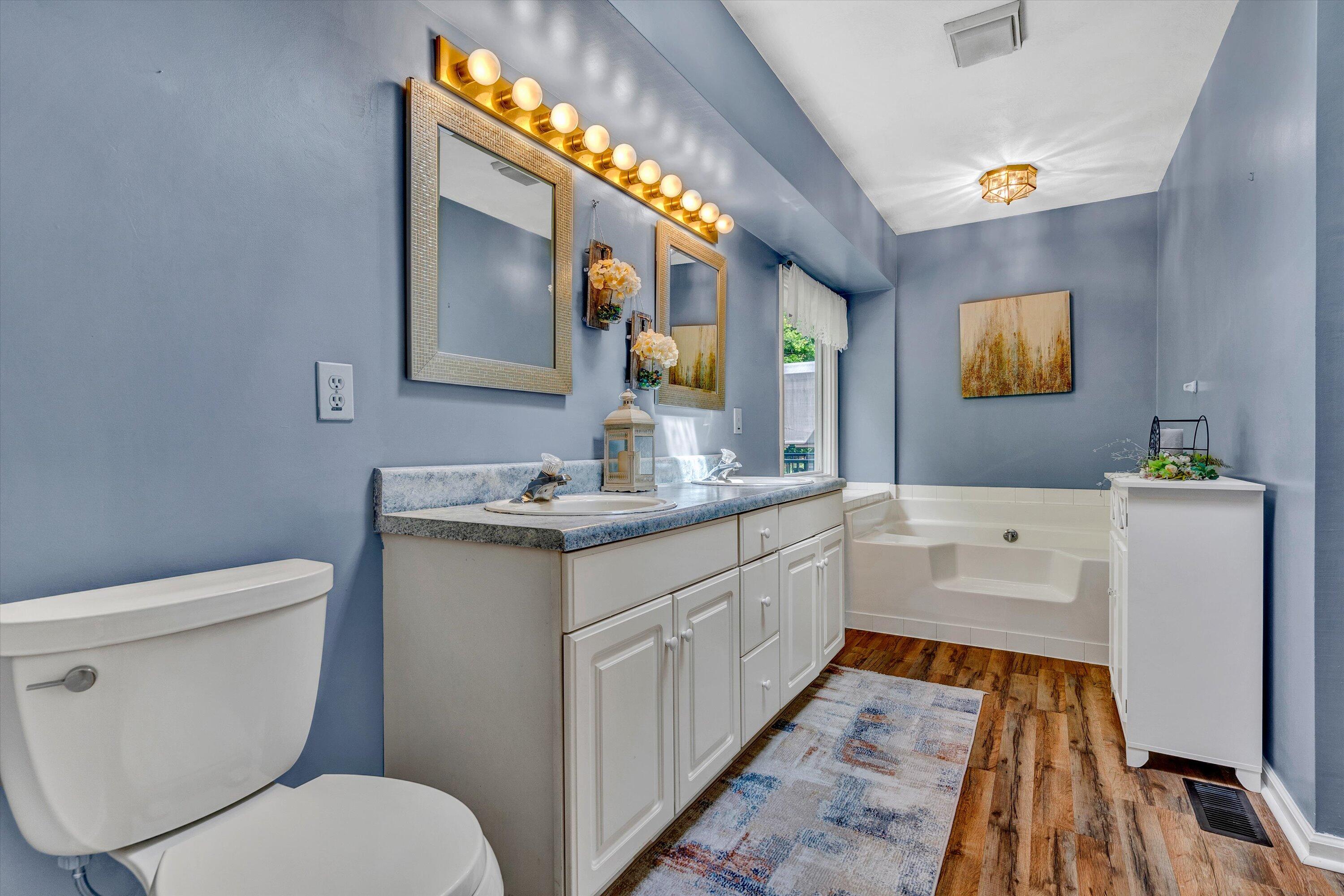 164 Deer Track Cloverdale, VA 24077 - Photo 14 of 28 a bathroom with a sink a toilet and mirror