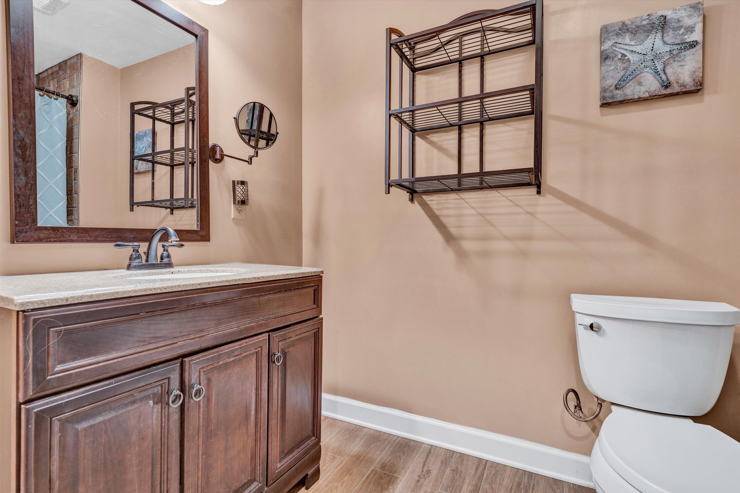 164 Deer Track Cloverdale, VA 24077 - Photo 23 of 28 a bathroom with a sink a toilet and mirror