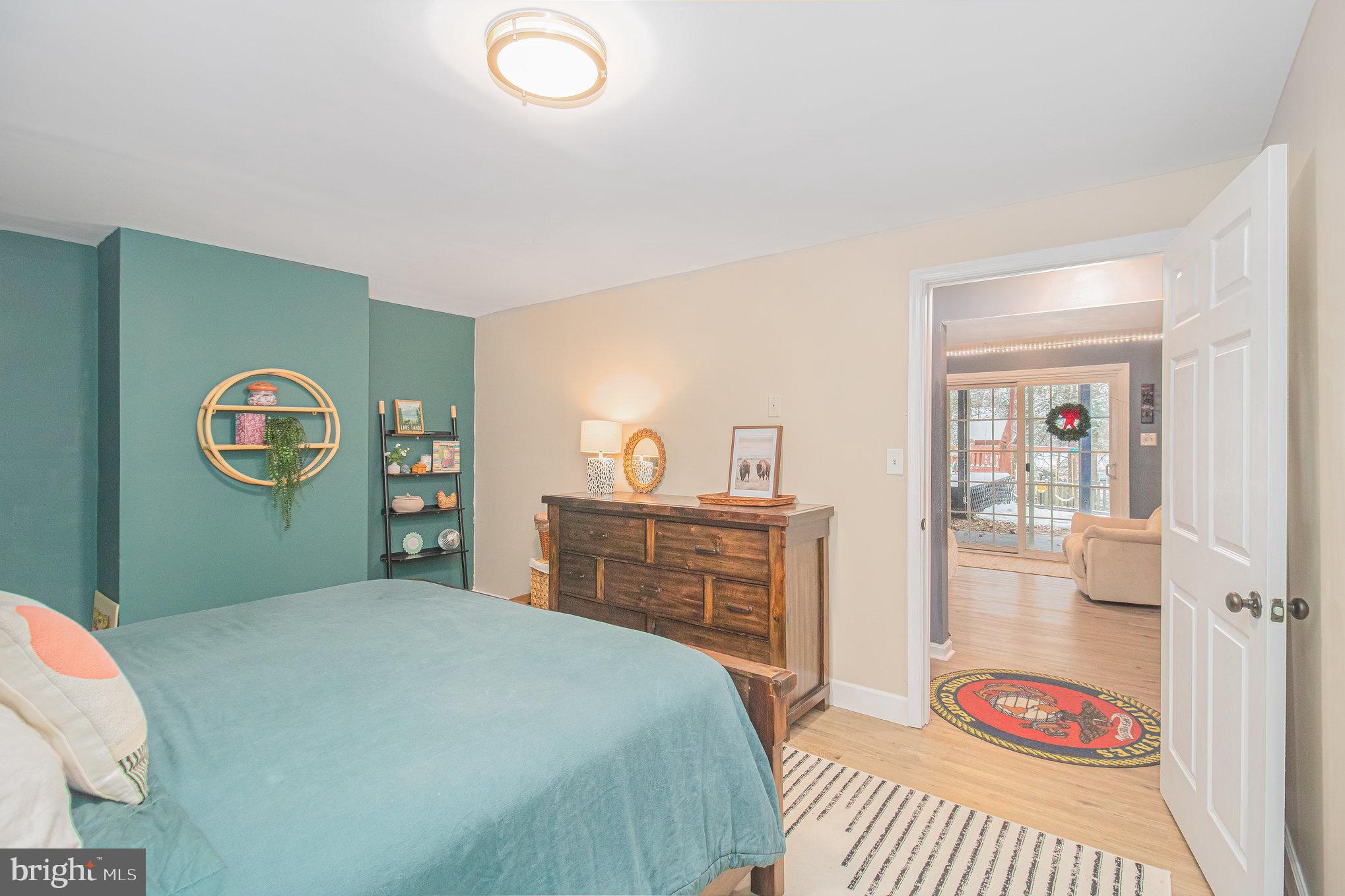 6811 Redground Road Fredericksburg, VA 22407 - Photo 25 of 37 Ceiling Light