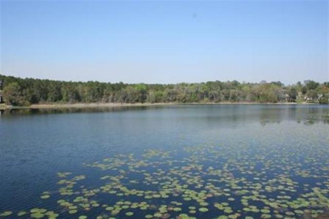 Xxx Phipps Point Road Tallahassee, FL 32309 - Photo 4 of 10 Gallery Image 4