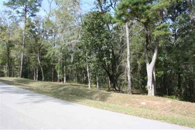 Xxx Phipps Point Road Tallahassee, FL 32309 - Photo 8 of 10 Gallery Image 8