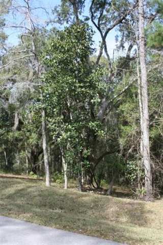 Xxx Phipps Point Road Tallahassee, FL 32309 - Photo 9 of 10 Gallery Image 9