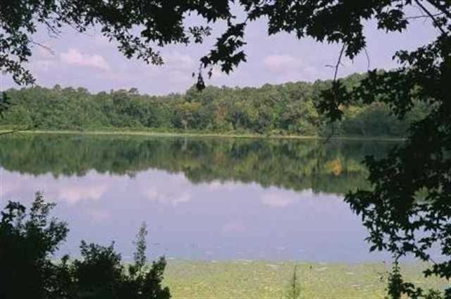 Xxx Phipps Point Road Tallahassee, FL 32309 - Photo 10 of 10 Gallery Image 10