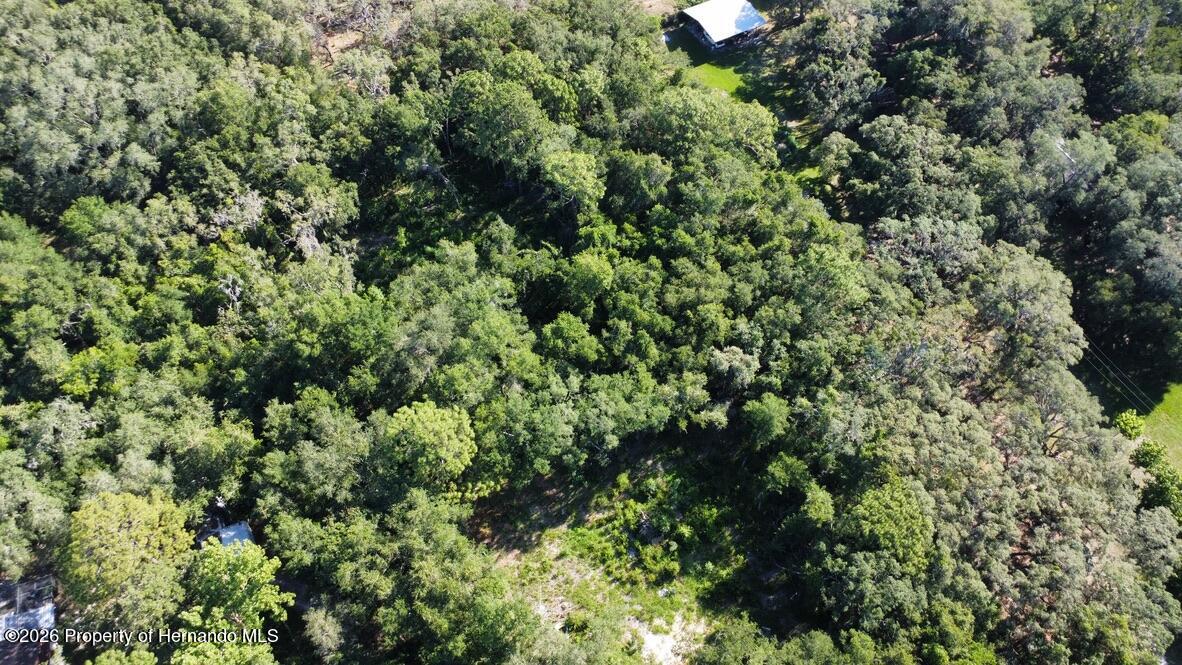 0 Little Ranch Road Spring Hill, FL 34610 - Photo 18 of 25