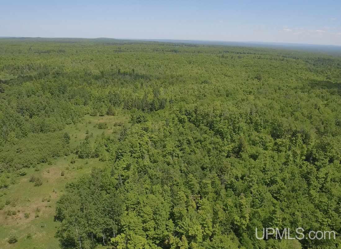 Tbd Seppanen Road Nisula, MI 49952 - Photo 8 of 24 Gallery Image 8