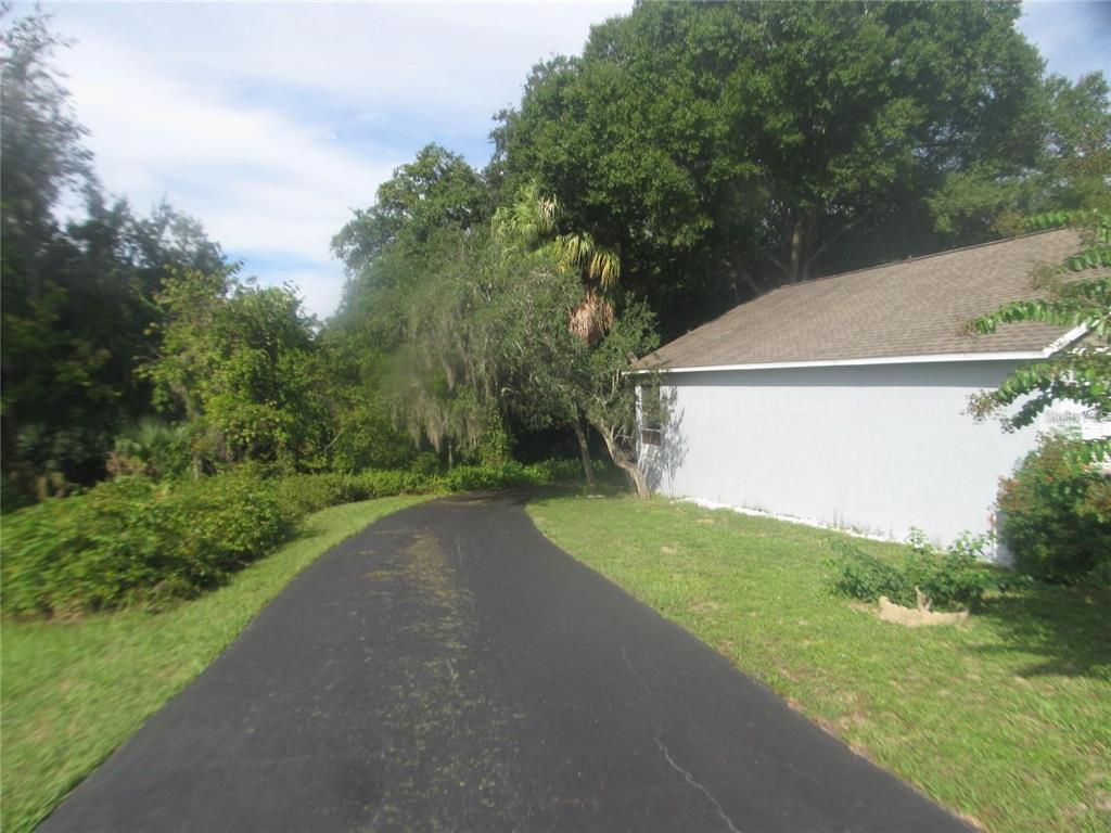 145 Crooked Pine Road Port Orange, FL 32128 - Photo 3 of 20