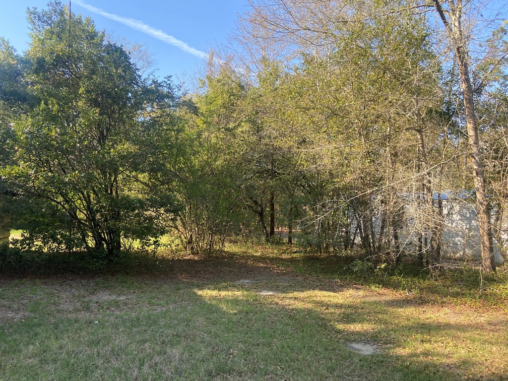 315 High Street Sumter, SC 29150 - Photo 12 of 13 Gallery Image 12