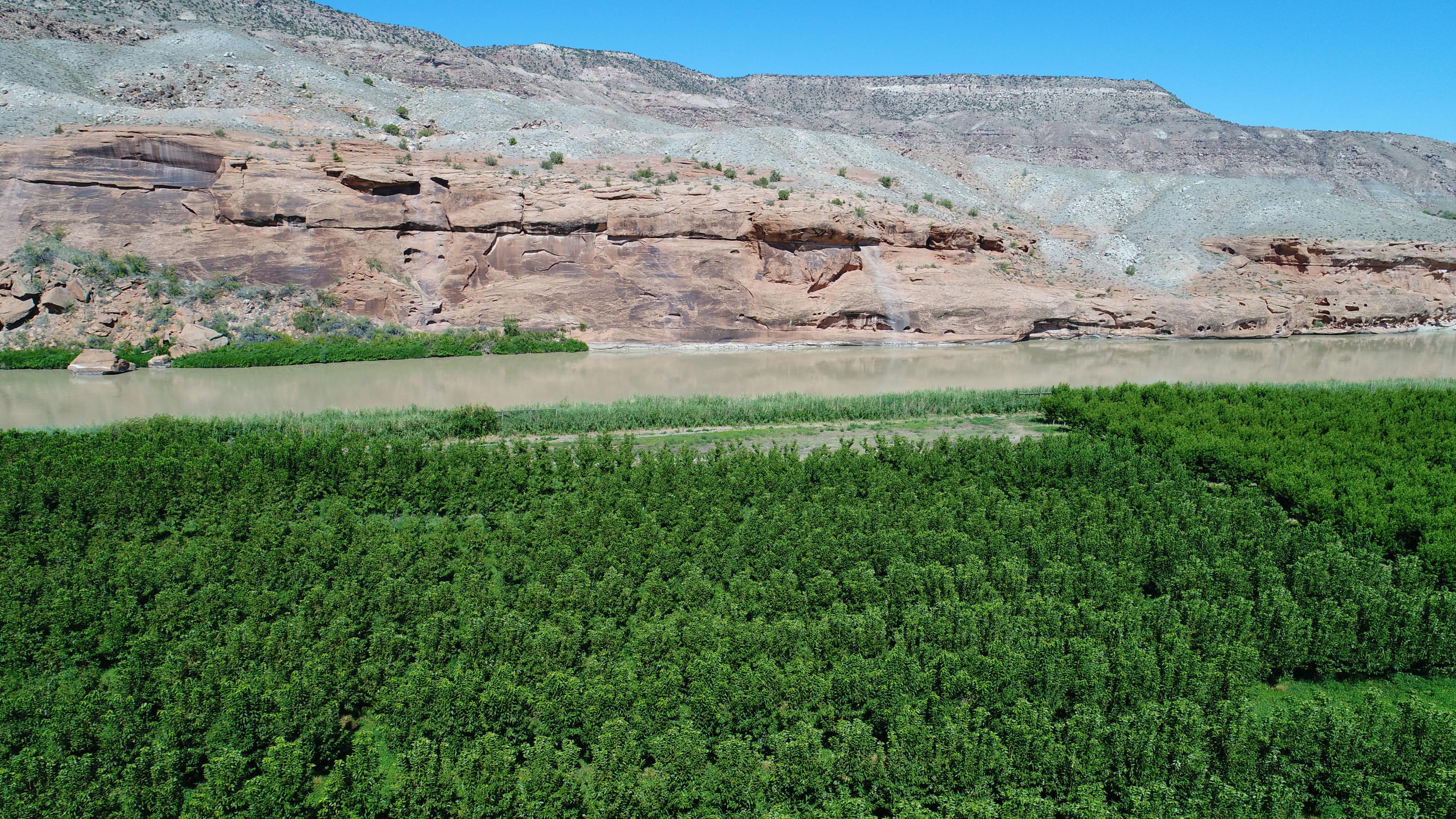 2444 Dominguez Canyon Road Delta, CO 81416 - Photo 5 of 23 3 Main (4)