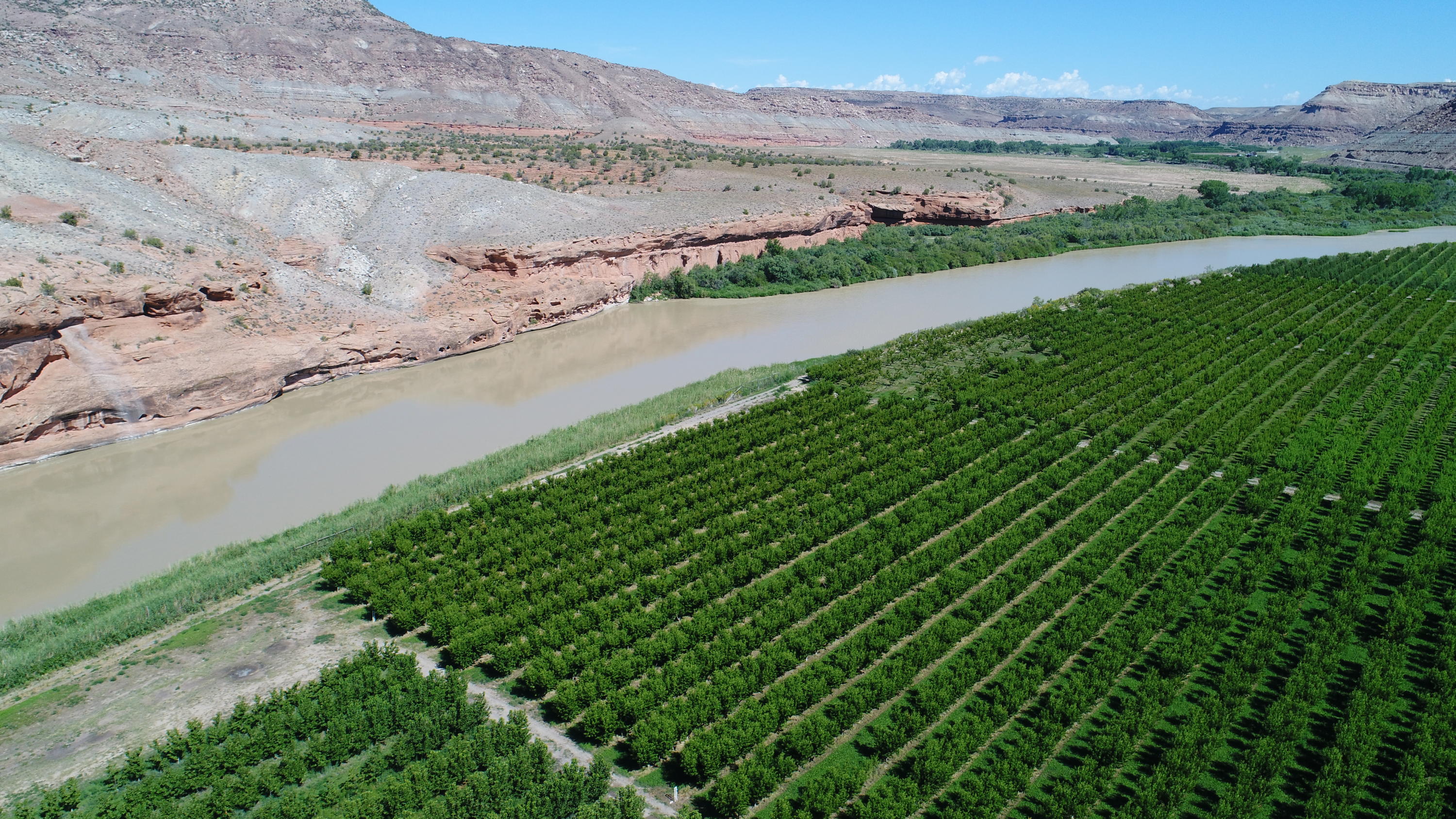 2444 Dominguez Canyon Road Delta, CO 81416 - Photo 7 of 23 3 Main (6)
