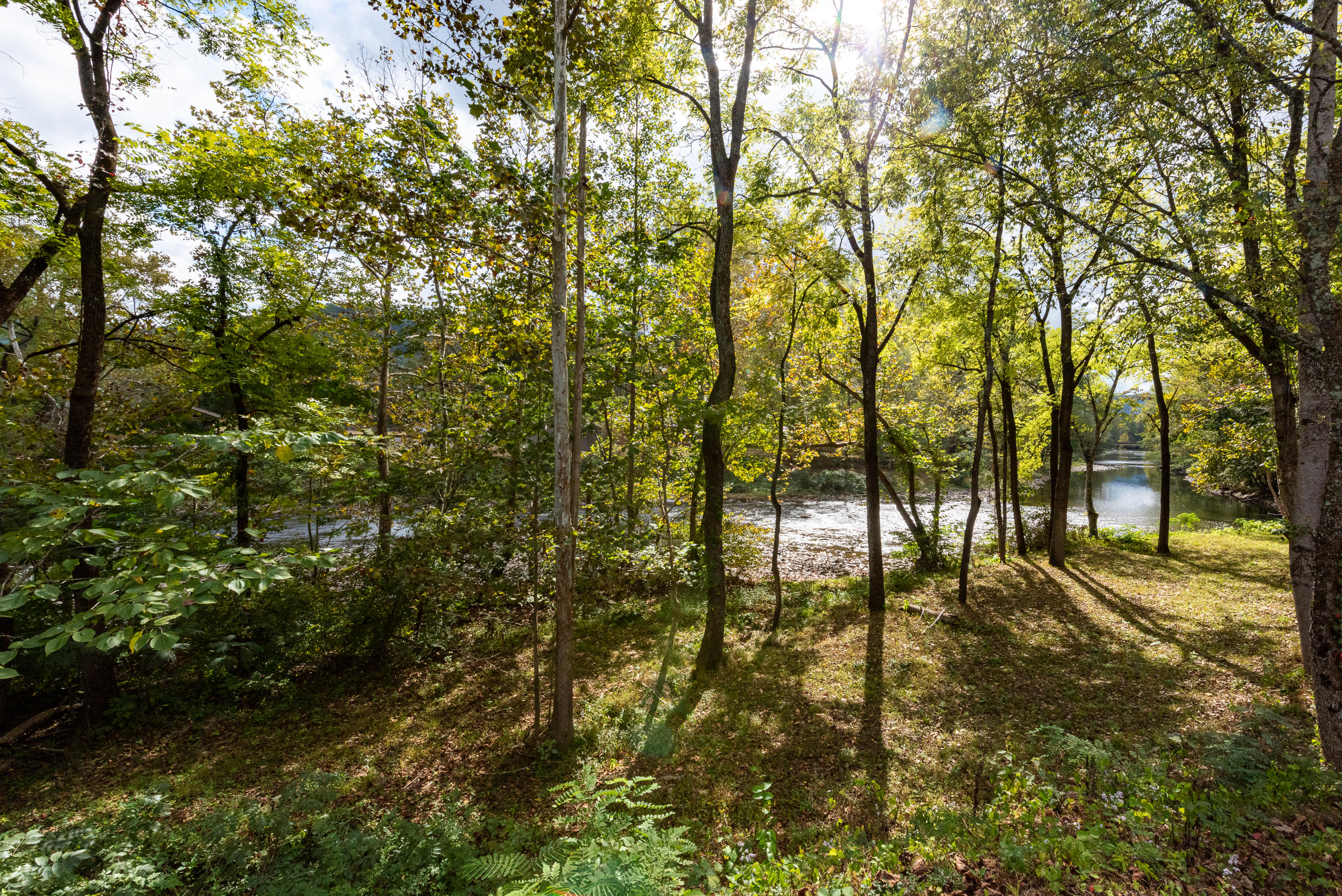 7804 Carnes Road Townsend, TN 37882 - Photo 34 of 40 _DSC3935
