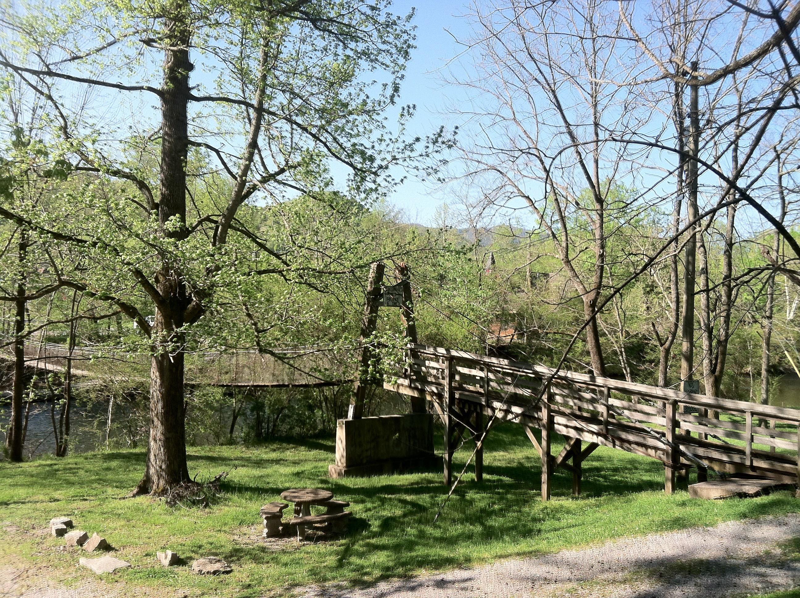 7804 Carnes Road Townsend, TN 37882 - Photo 38 of 40 IMG_1802