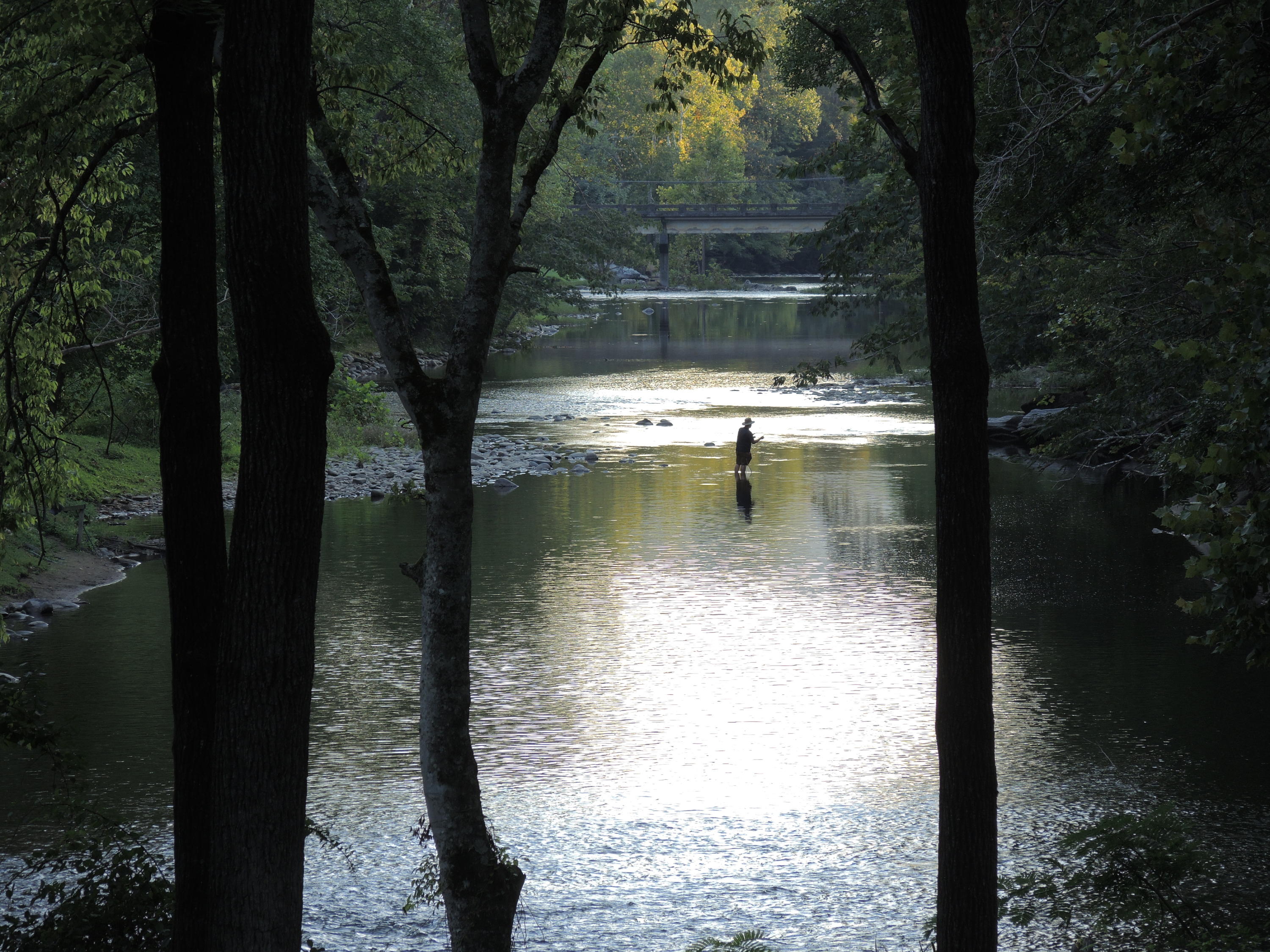 7804 Carnes Road Townsend, TN 37882 - Photo 40 of 40 WellspringFisherman