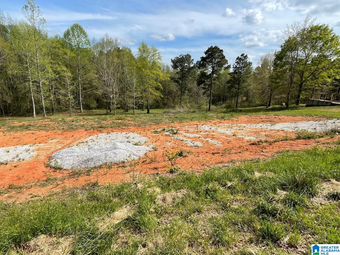 Owens Road, Unit 1 Ashland, AL 36251 - Photo 1 of 5