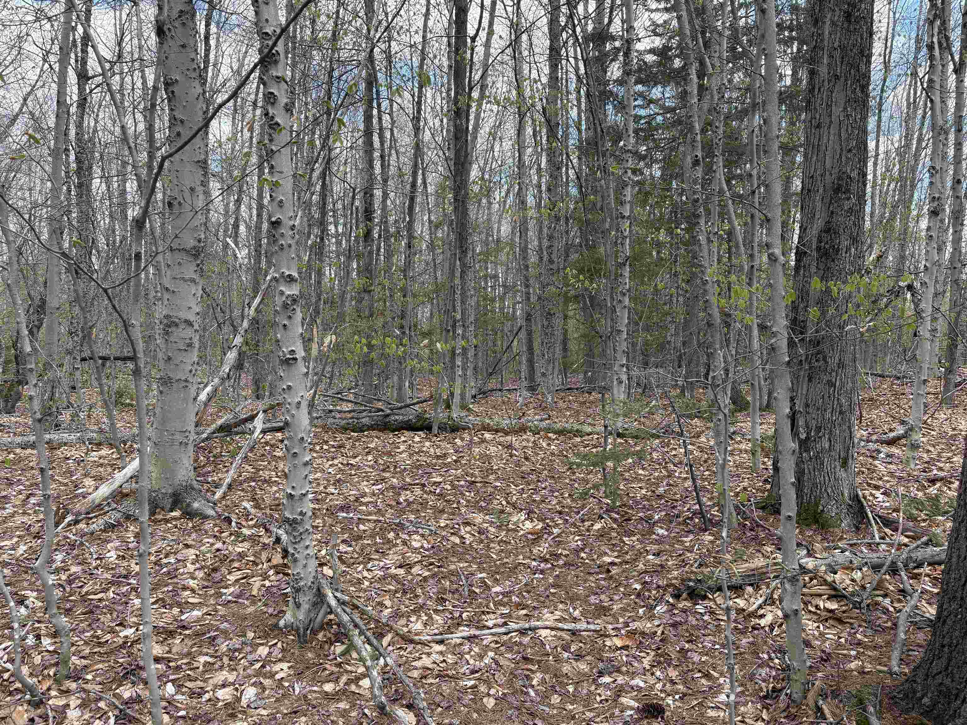 0 East Hill Road Andover, VT 05143 - Photo 11 of 17