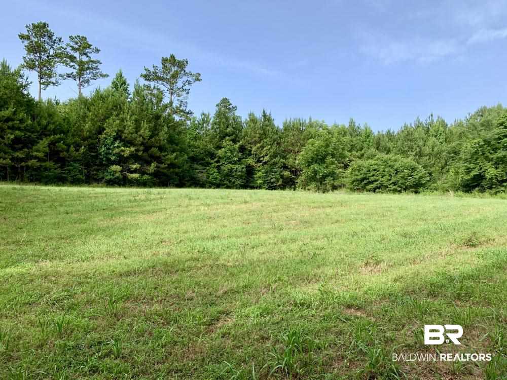 0 Country Road Uriah, AL 36480 - Photo 27 of 49