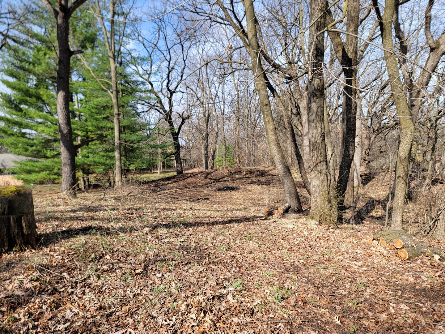 0 Newbold Road Cary, IL 60013 - Photo 1 of 11 a view of wooden fence under a large tree