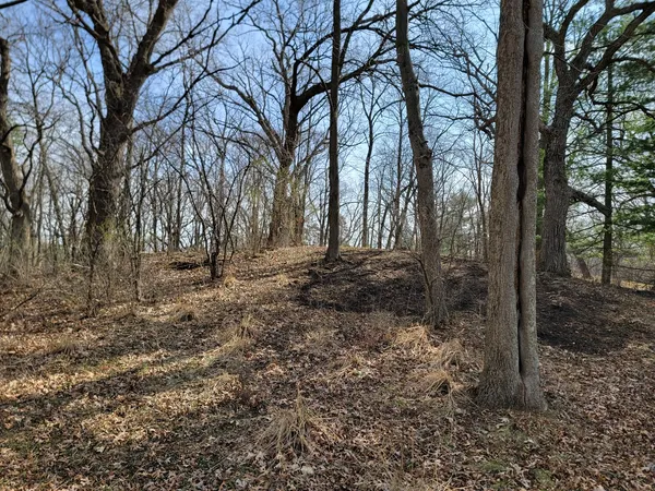 a view of backyard with green space