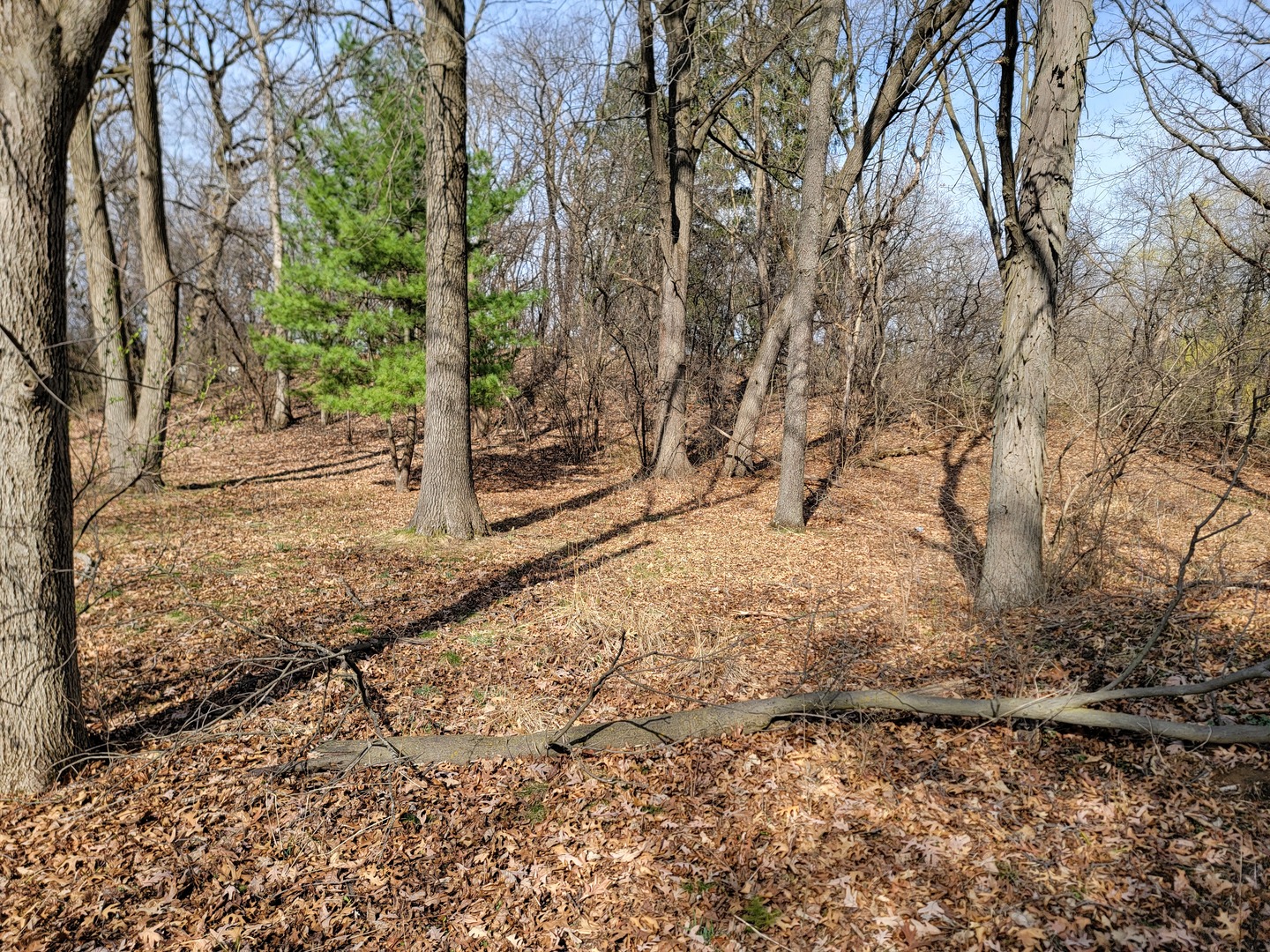 0 Newbold Road Cary, IL 60013 - Photo 3 of 11 a view of a yard with trees
