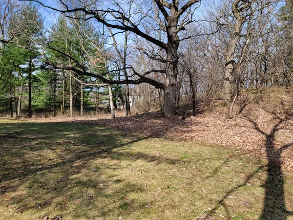 a view of a yard with large trees
