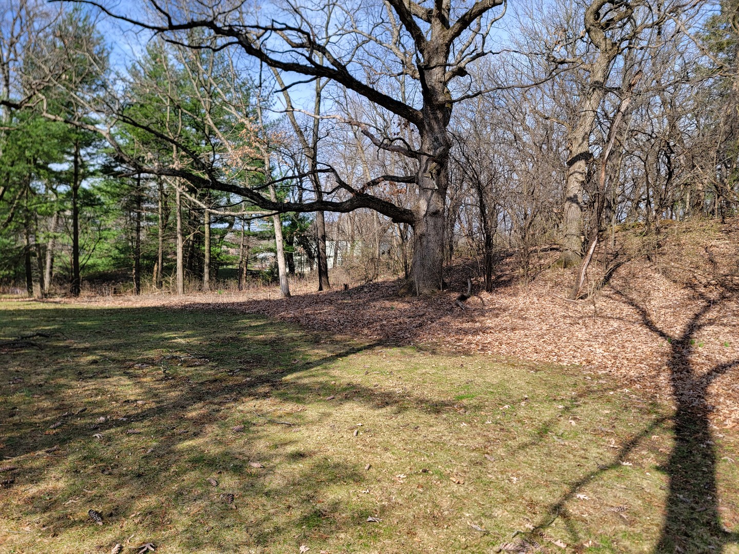 0 Newbold Road Cary, IL 60013 - Photo 4 of 11 a view of a yard with large trees