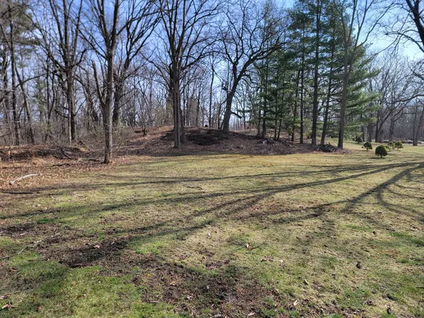 a view of a yard with lots of trees