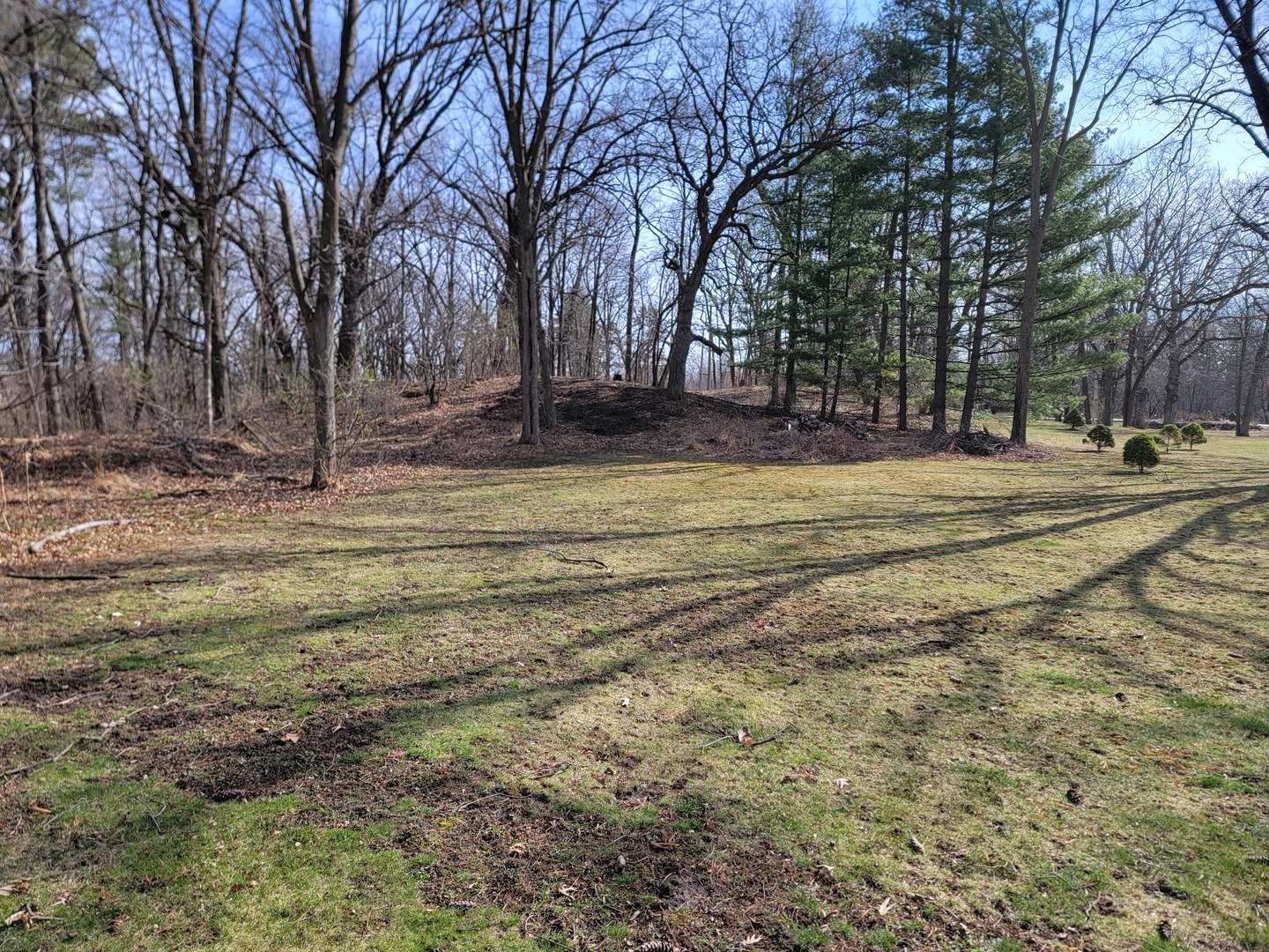 0 Newbold Road Cary, IL 60013 - Photo 5 of 11