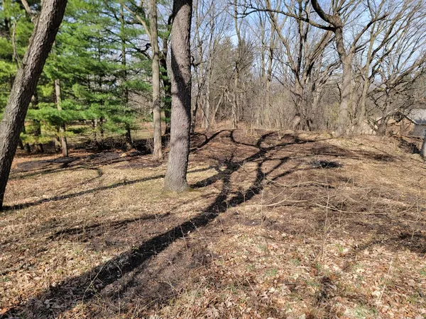 a view of backyard with green space