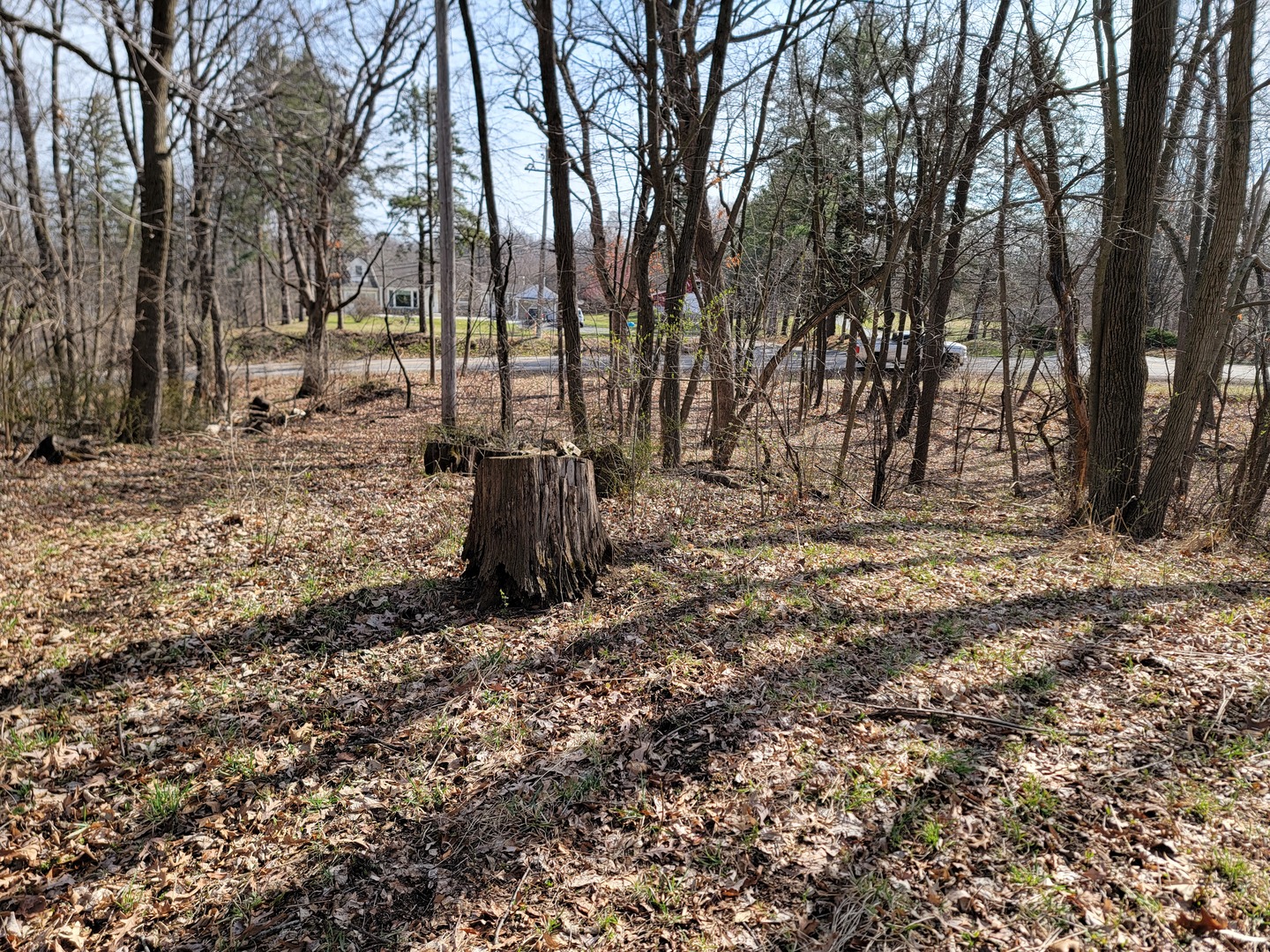 0 Newbold Road Cary, IL 60013 - Photo 9 of 11 a view of backyard with green space