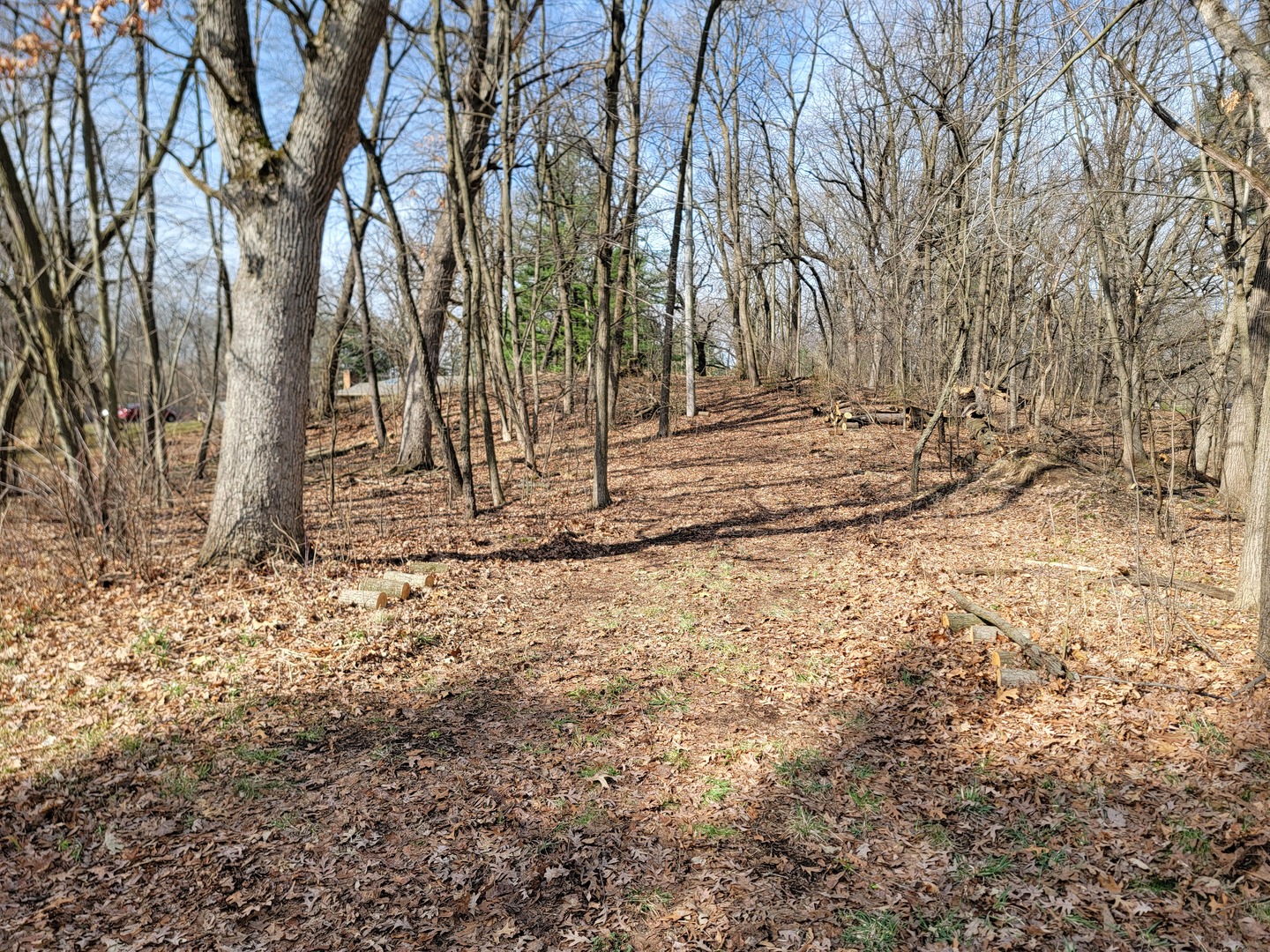 0 Newbold Road Cary, IL 60013 - Photo 10 of 11 a backyard of a house with lots of green space