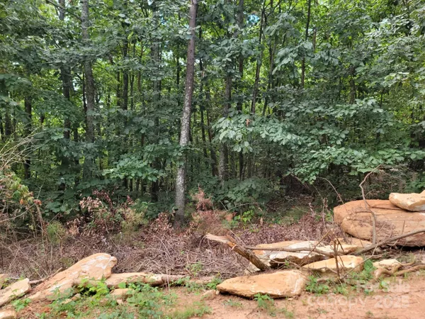 a wooden bench with some trees